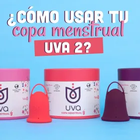 Copa menstrual UVA II's photo #10