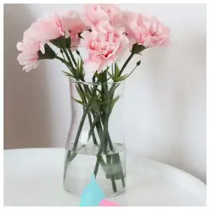 Copa Menstrual Luvkis (sin bolsita o puede agregarla) miniatura 5